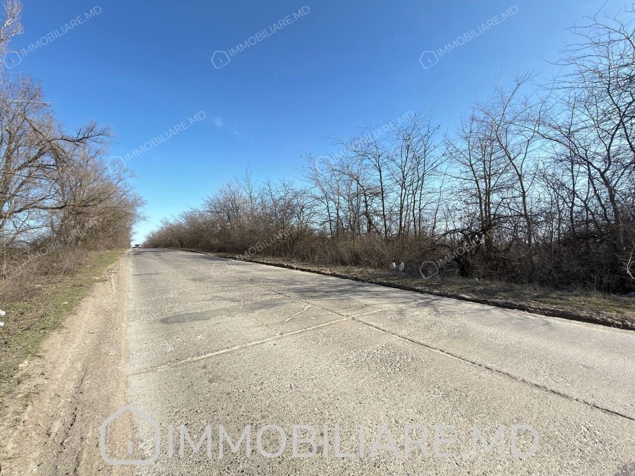 Teren agricol, com Băcioi - Photo 1