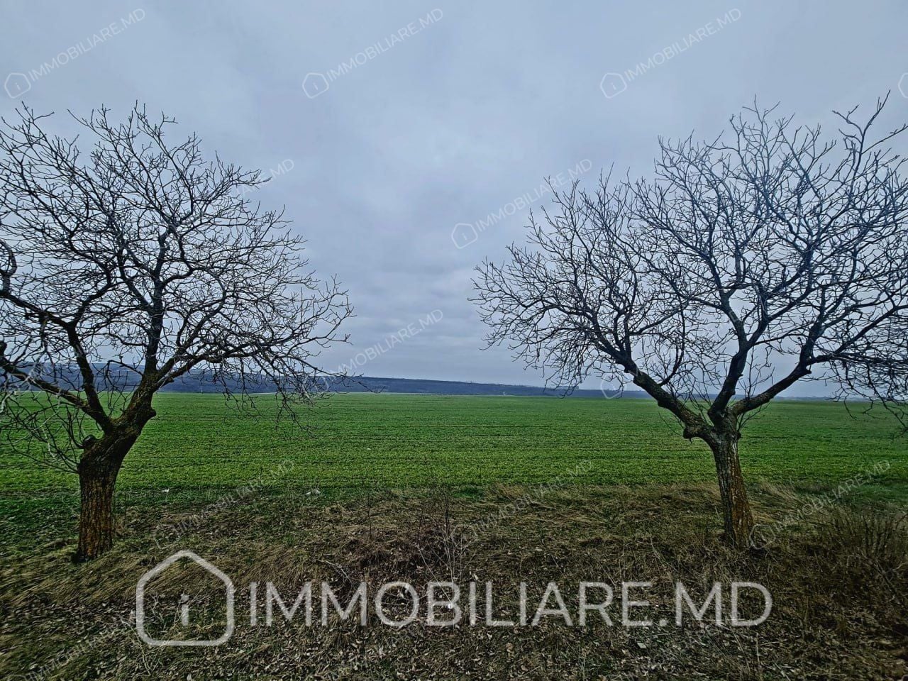 Teren agricol, Tohatin - Photo 1